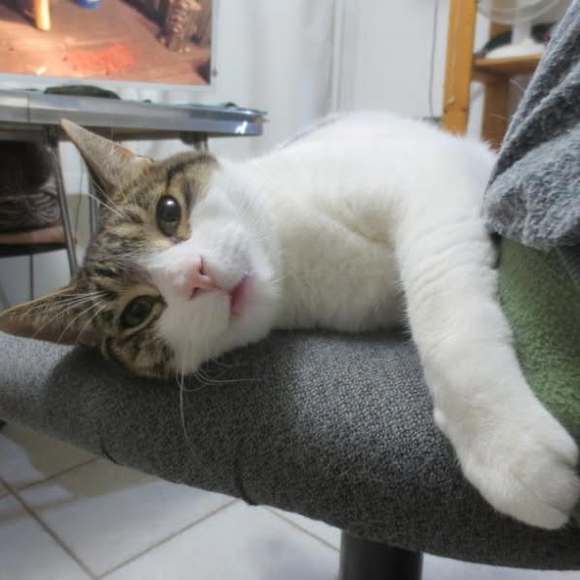 Meet your Posher, Wayne - Picture 1 of 1